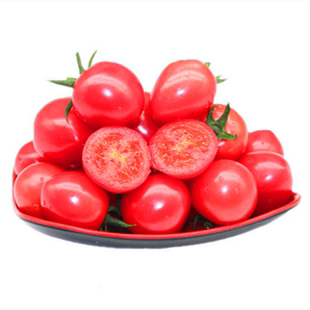 圣女果种子樱桃番茄种籽玲珑果番茄种苗秧苗子四季蔬菜釜山釜甜88