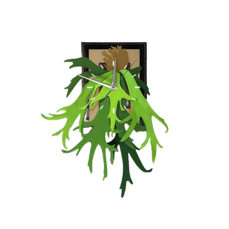 WAGYOYO热植鹿角蕨挂钟可摇摆
