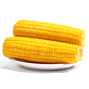 2025新鲜黄糯玉米东北黏黑玉米粘礼盒苞米代早餐真空袋装加热即食
