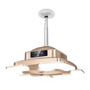 智能伸缩麻将吸烟灯馆房棋牌室空气净化器直外排烟机抽风升降吊灯