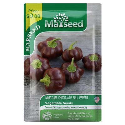 好玩的巧克力小铃铛传家甜椒种子