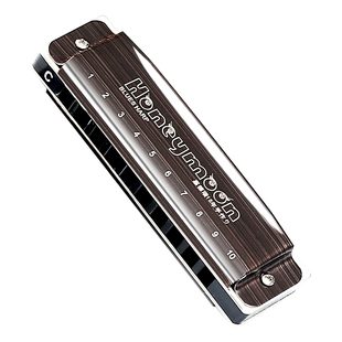 嘉德瑞布鲁斯口琴正品蓝调十孔C调初学者专业演奏级10孔入门男士