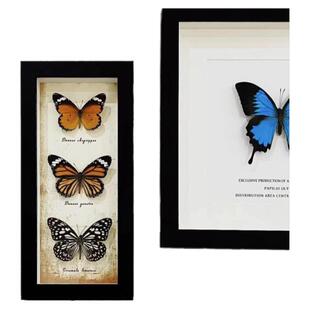 北欧中空长条相框蝴蝶标本手工diy画框摆台长方形玻璃展示框