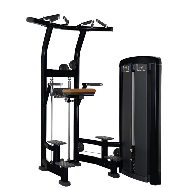 LifeFitness引体上升训练器