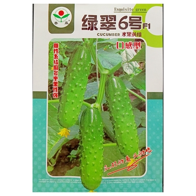 丰邦塌地菠菜种子20克
