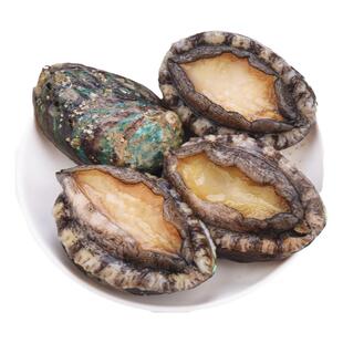 鲍鱼新鲜冷冻超大生鲜海鲜水产特大加热即食小鲍鱼捞汁饭批发商用