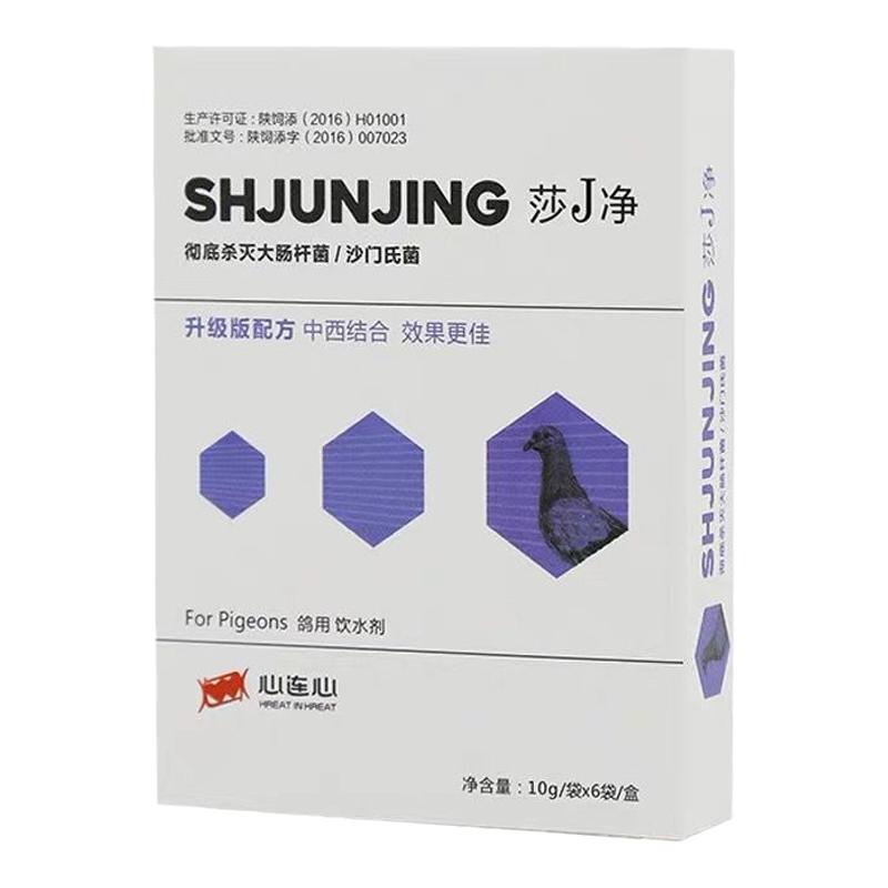 鹦鹉肠道粪便异常绿便鸽子心连心