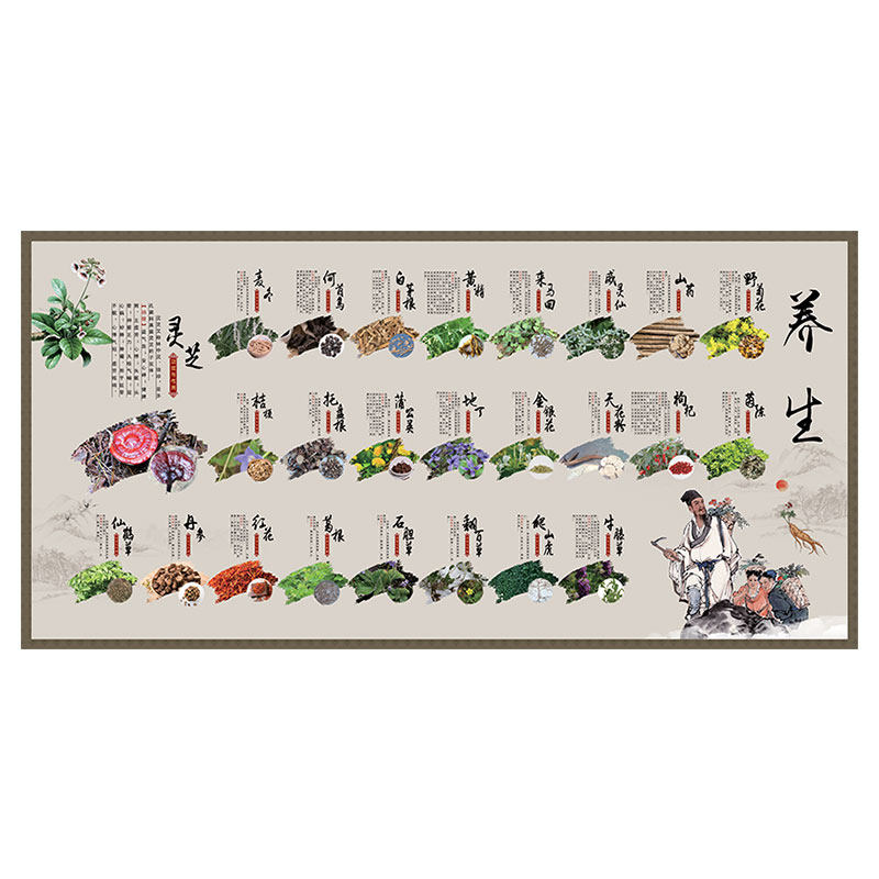 传统中药养生海报中药材挂图中草药展板中医院壁画文化宣传画墙贴