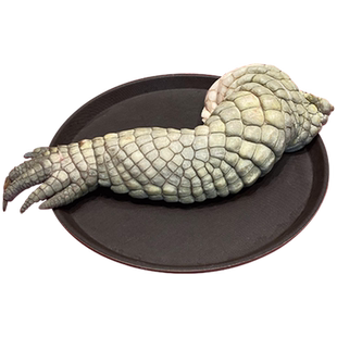 海农岛生鲜大鳄鱼掌鳄鱼肉新鲜煲汤食材鄂鱼腿掌3-8斤 不卖冷冻肉