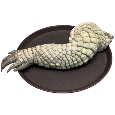 海农岛生鲜大鳄鱼掌鳄鱼肉新鲜煲汤食材鄂鱼腿掌3-8斤 不卖冷冻肉