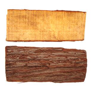 洋兰吊栽种植板杉木板树皮板杉树板石斛专用板植铁皮石斛种植板材