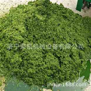 瓜果青饲料打浆机工作视频大型青草青秸秆打浆机牧草苜蓿草打浆机