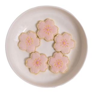 顿顿有肉宠物小狗狗零食饼干羊奶淋面果蔬鸡肉奶酪樱花宠物饼干