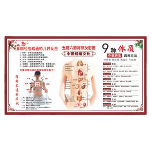 中医馆装饰挂画养生挂图艾灸广告图海报形象墙宣传人体经络穴位图