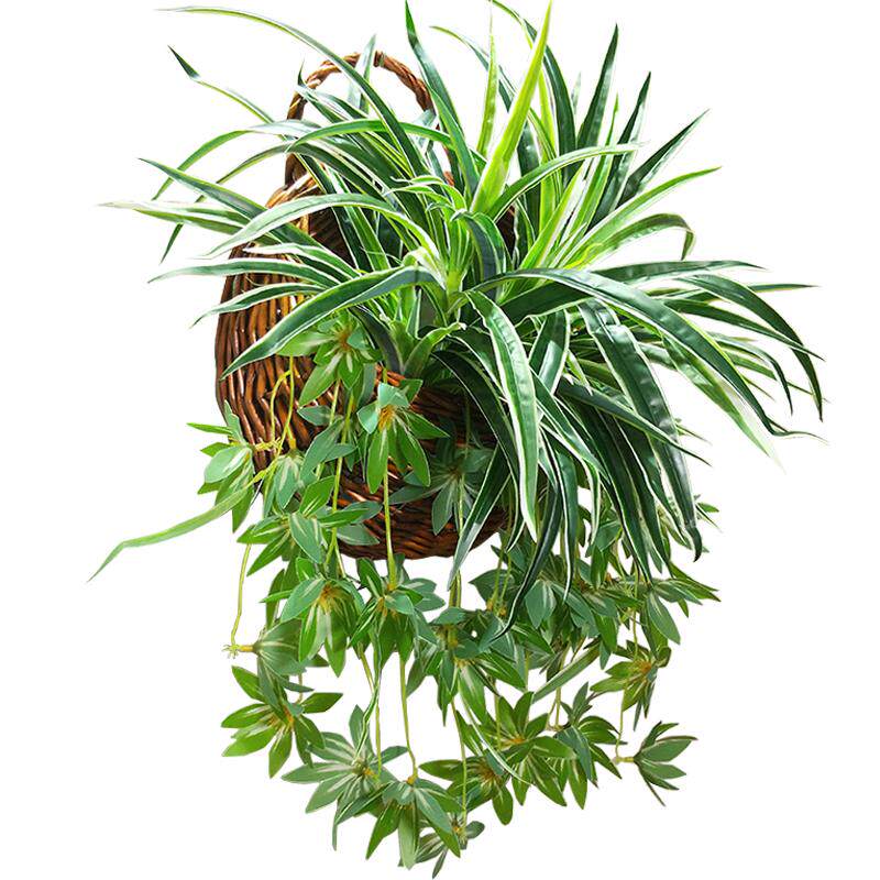 仿真绿植盆栽绿萝吊兰塑料假花盆景阳台客厅垂挂装饰吊篮套装花艺