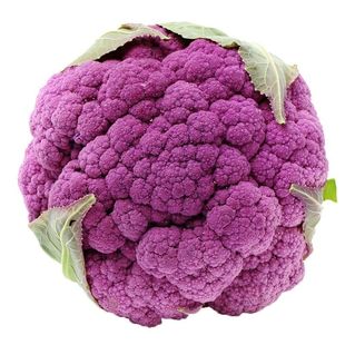 松花菜种子青梗花椰菜白花菜有机紫花菜种籽大全秋季蔬菜孑菜南方