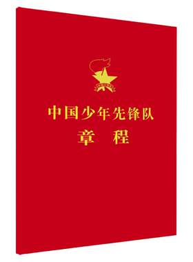 中国少年先锋队工作委员会