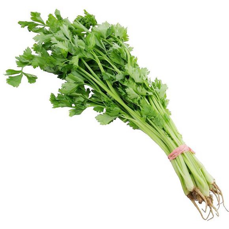 芹菜苗四季香芹水芹西芹种子秋季盆栽阳台蔬菜种籽子幼苗秧苗带