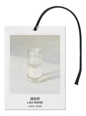 气味图书馆空间香氛卡片车载香片汽车香氛香卡衣柜持久留香告别款
