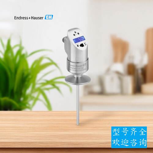 议价EH流量开关DTT35-A1A111DB2AAA恩德斯豪斯温度流量测量计感测