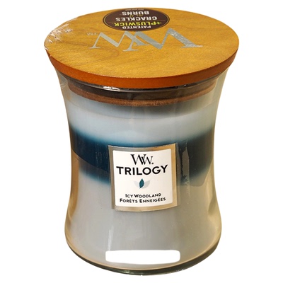 美国WoodWick中瓶白噪音香薰蜡烛