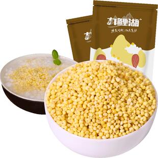 九鲤湖 大黄米 买4送1 农家黄糯米黍米黏黄米糯小米五谷杂粮 500g