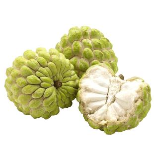 顺丰礼盒台湾凤梨释迦果新鲜现摘大果10斤当季牛奶番荔枝整箱包邮