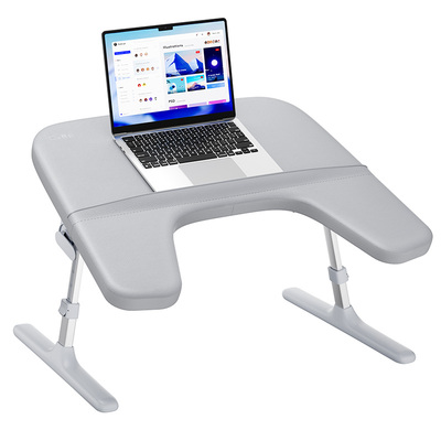 赛鲸26年新品KB1灰色带扶手支撑