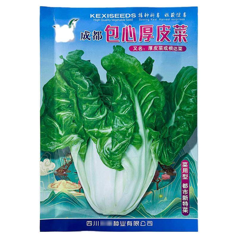 包心牛皮菜10g莙荙菜蔬菜种子孑籽厚皮根达菜光猪乸婆麻菜海白菜