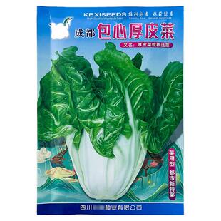 包心牛皮菜10g莙荙菜蔬菜种子孑籽厚皮根达菜光猪乸婆麻菜海白菜