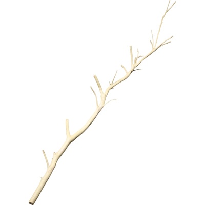 干树枝商场原木色艺术风仿真植物