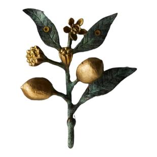 现 纽约下城公园进口柠檬加泰罗铜质复古做旧装饰衣钩挂钩