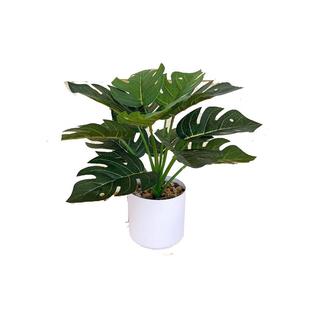 仿真绿植盆景假花办公桌小盆栽龟背盆栽客厅装饰仿真绿植家居摆件