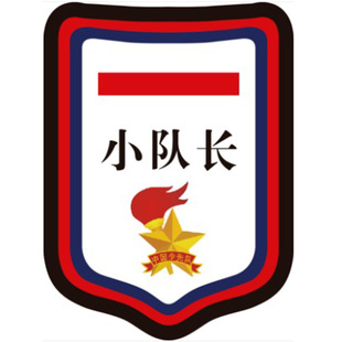 小学生班干部徽章小组长牌子中队长二道杠标志学习委员臂章定制