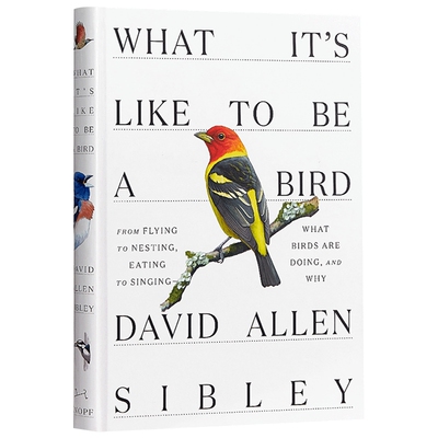 华研原版 何以为鸟 英文原版 What It's Like to Be a Bird 西布利的鸟类世界 观鸟指南 精装 David Allen Sibley 进口英语书籍