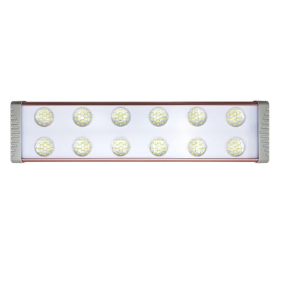 植物生长多肉补光上色鹿角蕨绿植