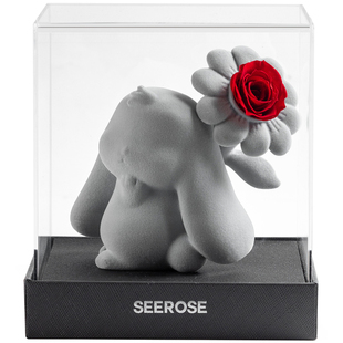 SEEROSE西罗斯永生花一举夺魁软萌兔子摆件送女朋友创意生日礼物