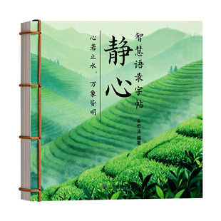 女士静心手抄字帖成人练字女生字体漂亮手写体练字帖行楷钢笔反复使用专用行书速成大人练字本硬笔书法练习时光语录解压治愈智慧