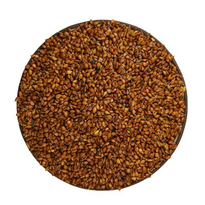 散装夏枯草种子中药材白毛夏枯草种籽子四季种植另有黄芩苗孑