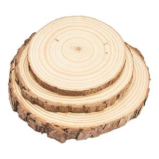 天然造型干树枝拍照道具高级感办公室书桌插花装饰静物产品化妆品摄影拍摄摆件场景搭建枝条枯木干花搭配简约