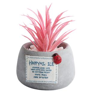 北欧ins风仿真植物绿植小盆栽摆件创意桌面迷你假多肉可爱装饰品