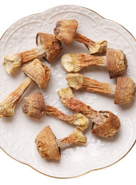 【100%无硫】精品小朵姬松茸菇