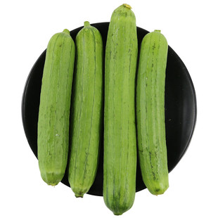 寿光蔬菜种子泰国中绿丝瓜种籽肉春特长高产春秋露天四季蔬菜种孑