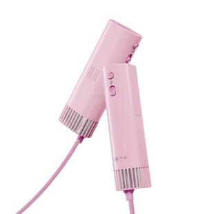 遛十七宠物吹风机狗狗猫咪吹风拉毛一体机洗澡专用挂脖吹干神器