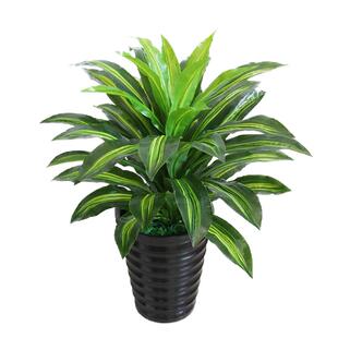 仿真植物假树盆景大型绿植盆栽室内客厅酒店装饰摆设仿真巴西木铁