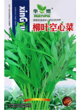 柳叶出芽率易栽春季空心菜种子