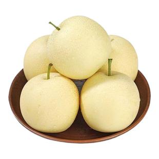 新鲜梨子河北皇冠梨3斤/5斤8.5斤脆甜多汁整箱包邮