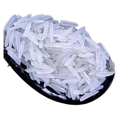 新米正宗猫牙米超长粒香米