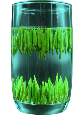 雀舌2026新茶湄潭翠芽嫩芽全芽