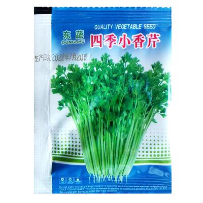 香味浓郁四季小香芹种子耐热抗寒